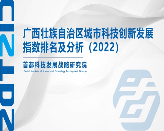 操大逼免费观看【成果发布】广西壮族自治区城市科技创新发展指数排名及分析（2022）